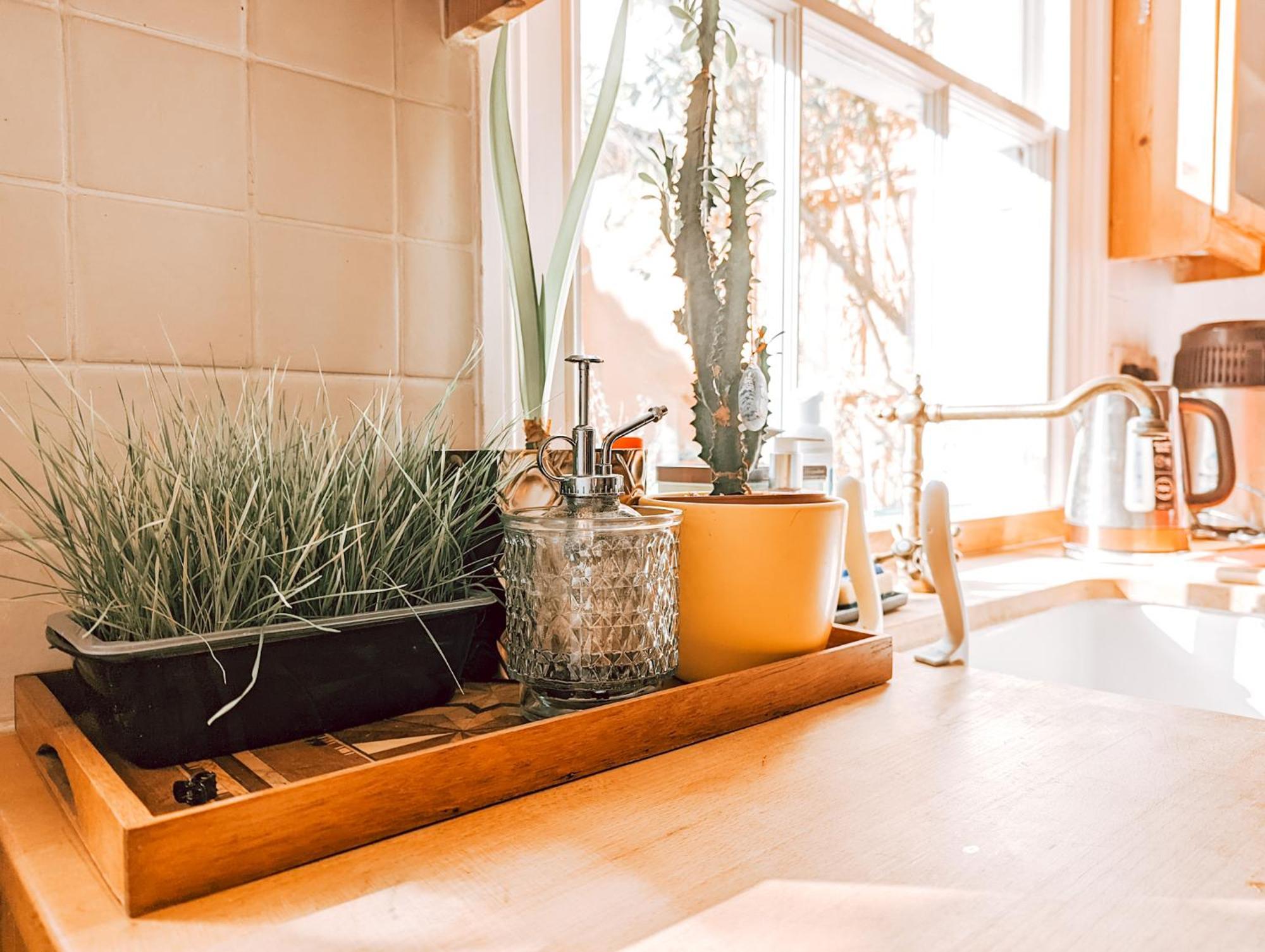 The Clapham Apartment With Private Patio London Eksteriør bilde